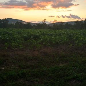 Meet your Posher, Rachelle